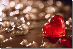 4266283238_b908761e95_m